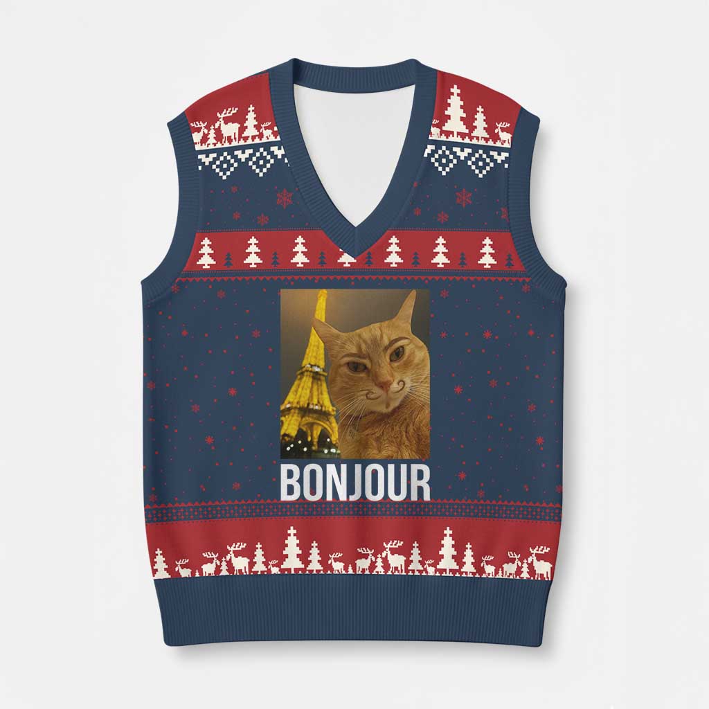 Funny Cat Bonjour V-Neck Knit Sweater Vest Paris France Eiffel Tower Orange Cat Meme - Wonder Print Shop