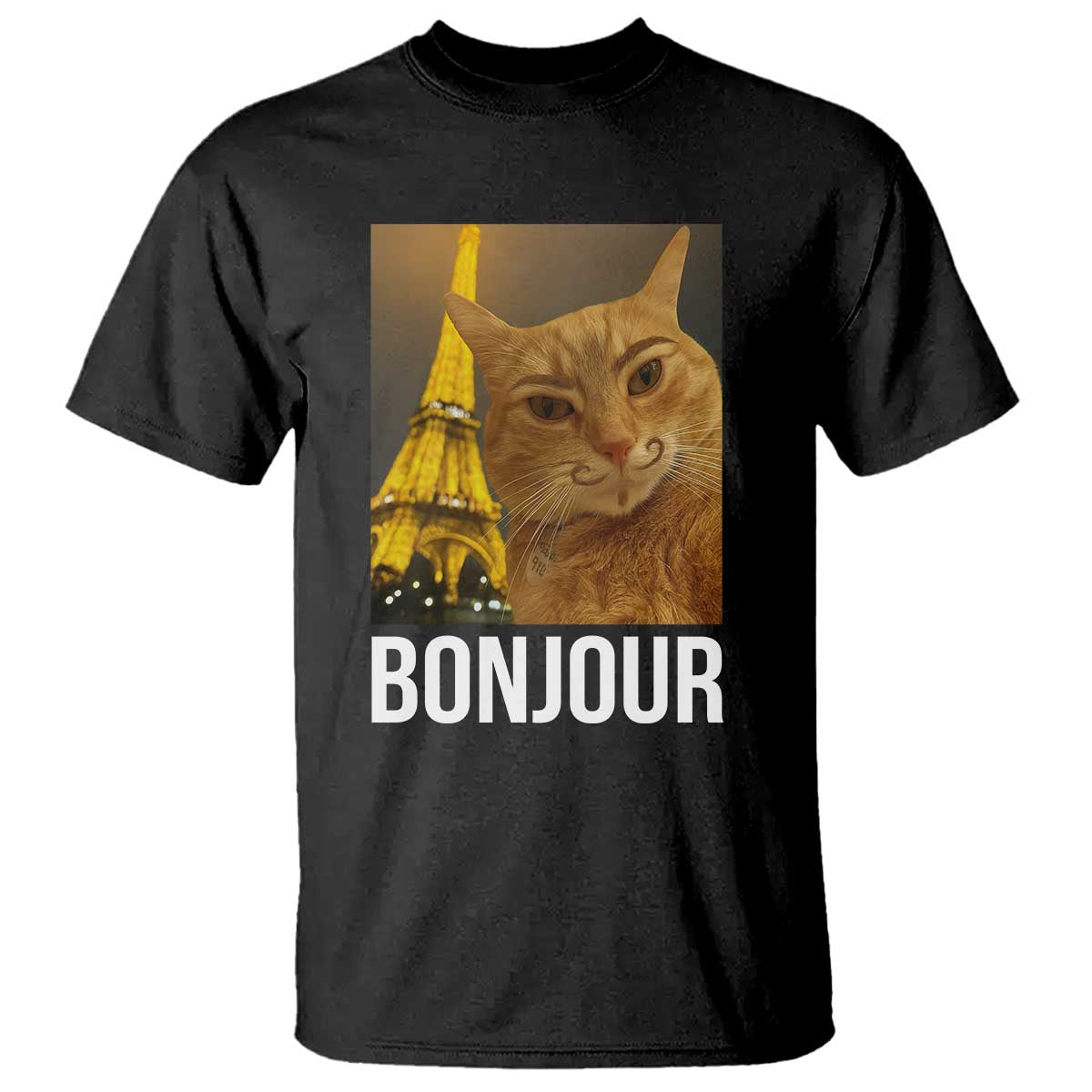 Funny Cat Bonjour T Shirt Paris France Eiffel Tower Orange Cat Meme - Wonder Print Shop