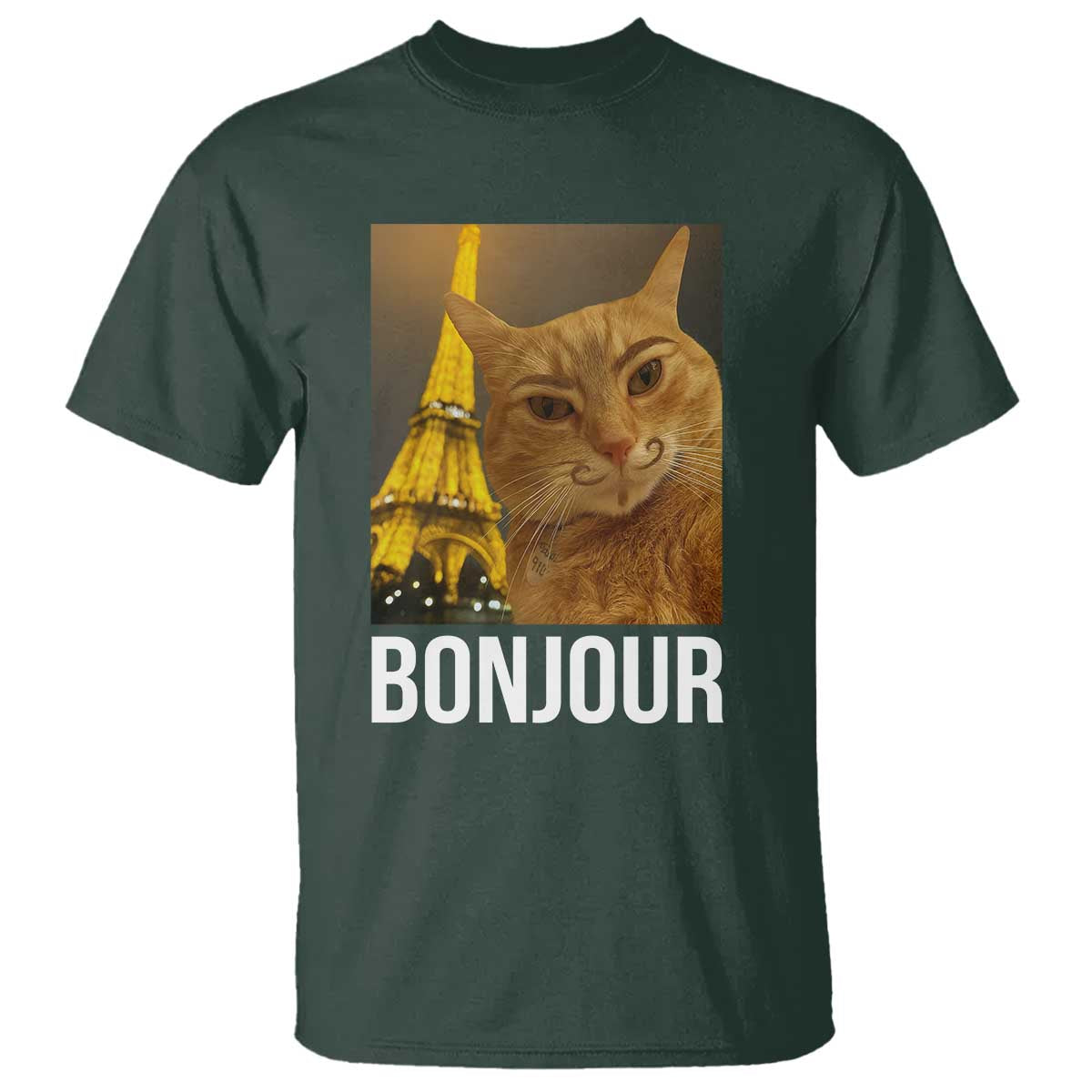 Funny Cat Bonjour T Shirt Paris France Eiffel Tower Orange Cat Meme - Wonder Print Shop