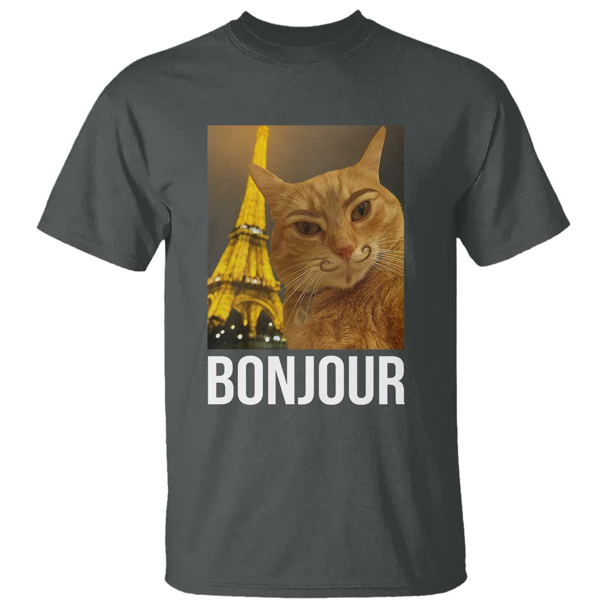 Funny Cat Bonjour T Shirt Paris France Eiffel Tower Orange Cat Meme - Wonder Print Shop