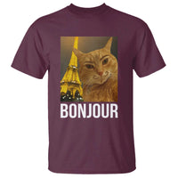 Funny Cat Bonjour T Shirt Paris France Eiffel Tower Orange Cat Meme - Wonder Print Shop