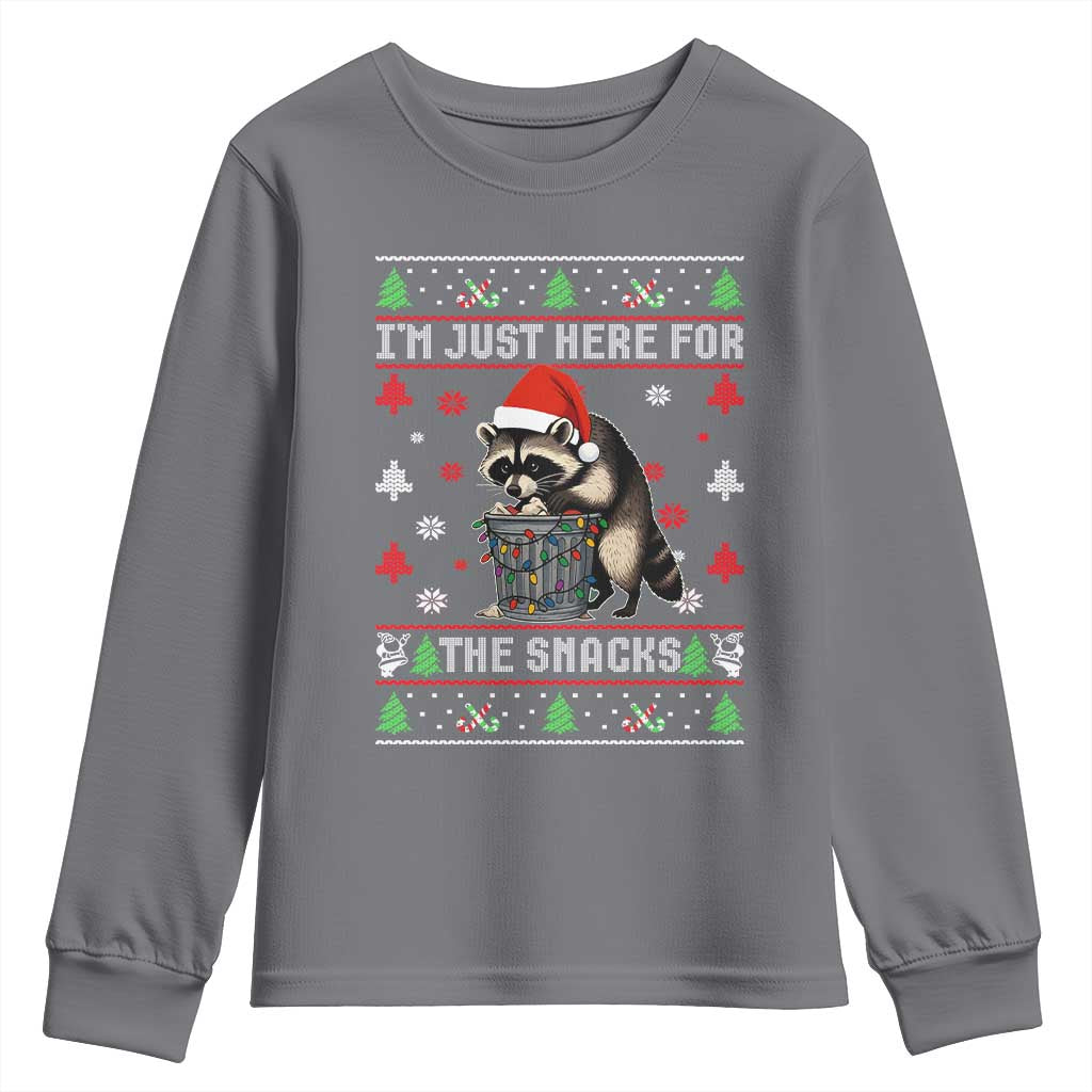 Funny Raccoon Ugly Christmas Youth Sweatshirt I'm Just Here for The Snacks Cute Trash Panda - Wonder Print Shop