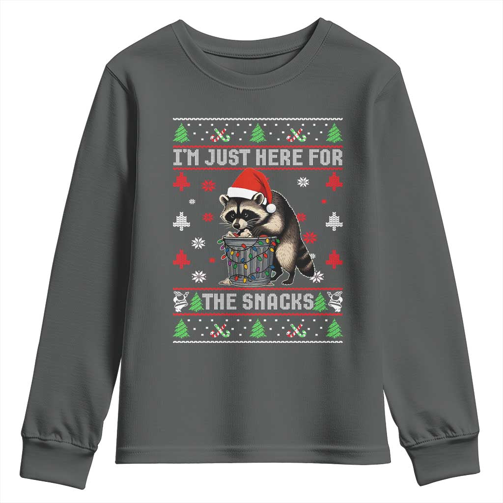 Funny Raccoon Ugly Christmas Youth Sweatshirt I'm Just Here for The Snacks Cute Trash Panda - Wonder Print Shop