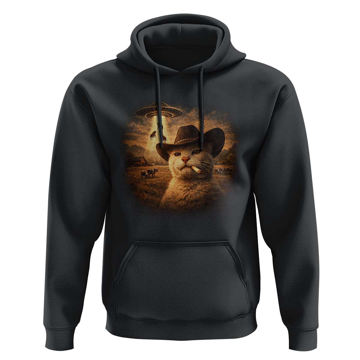 Funny Cowboy Cat UFO Hoodie Retro Western Rodeo Meme Cats Lover Gift