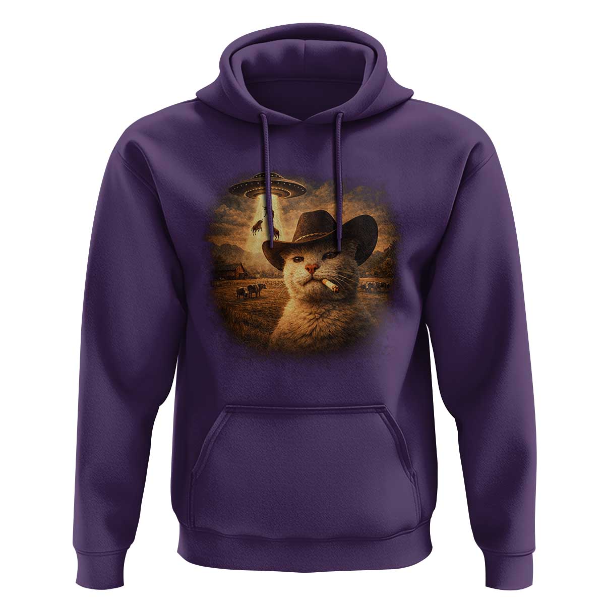 Funny Cowboy Cat UFO Hoodie Retro Western Rodeo Meme Cats Lover Gift