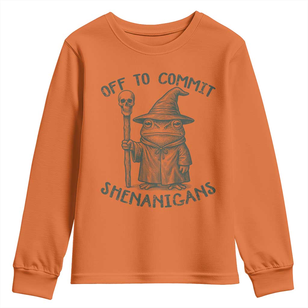 Wizard Frog Youth Sweatshirt Funny Off to Commit Shenanigans