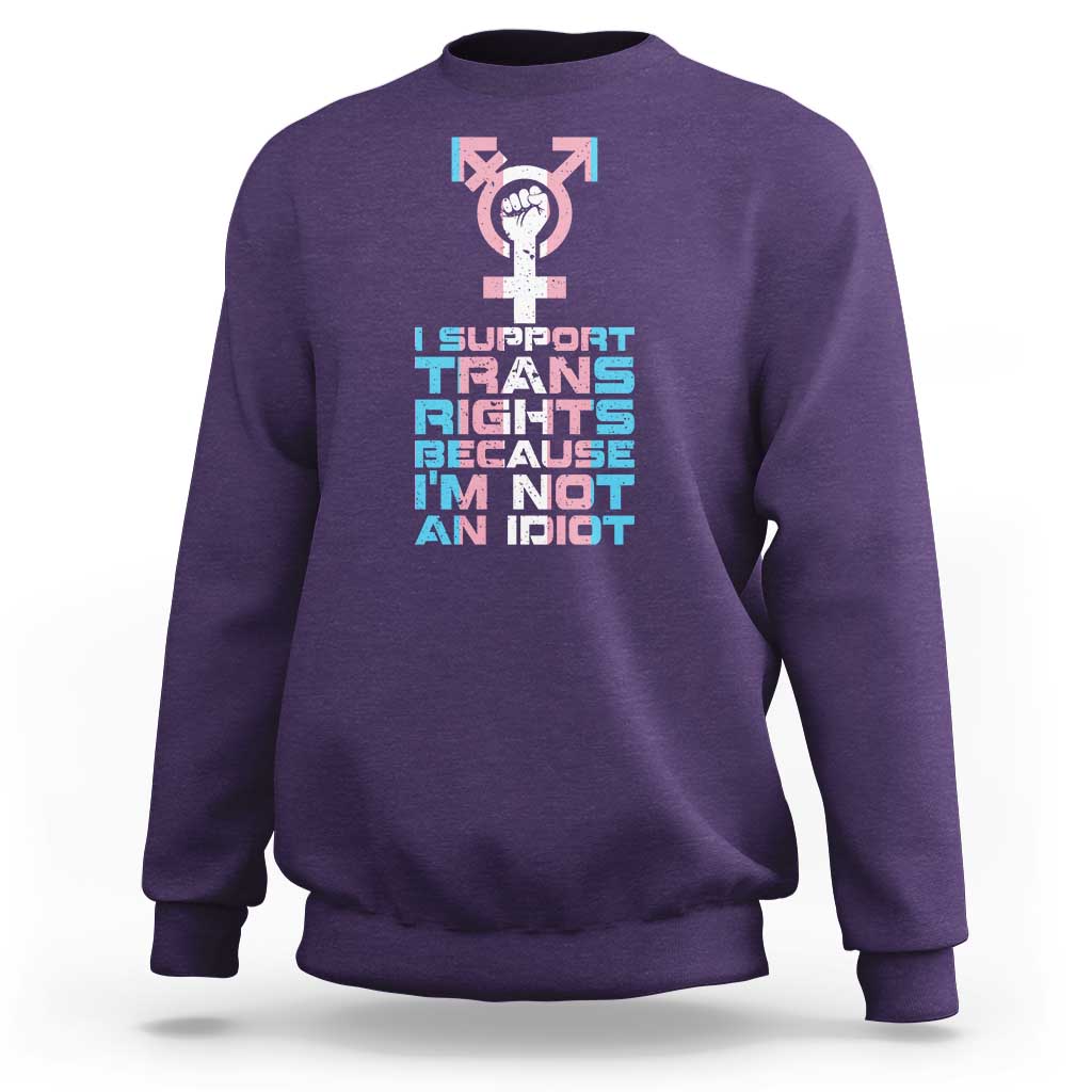 Trans Ally Sweatshirt Transgender Pride Flag Support