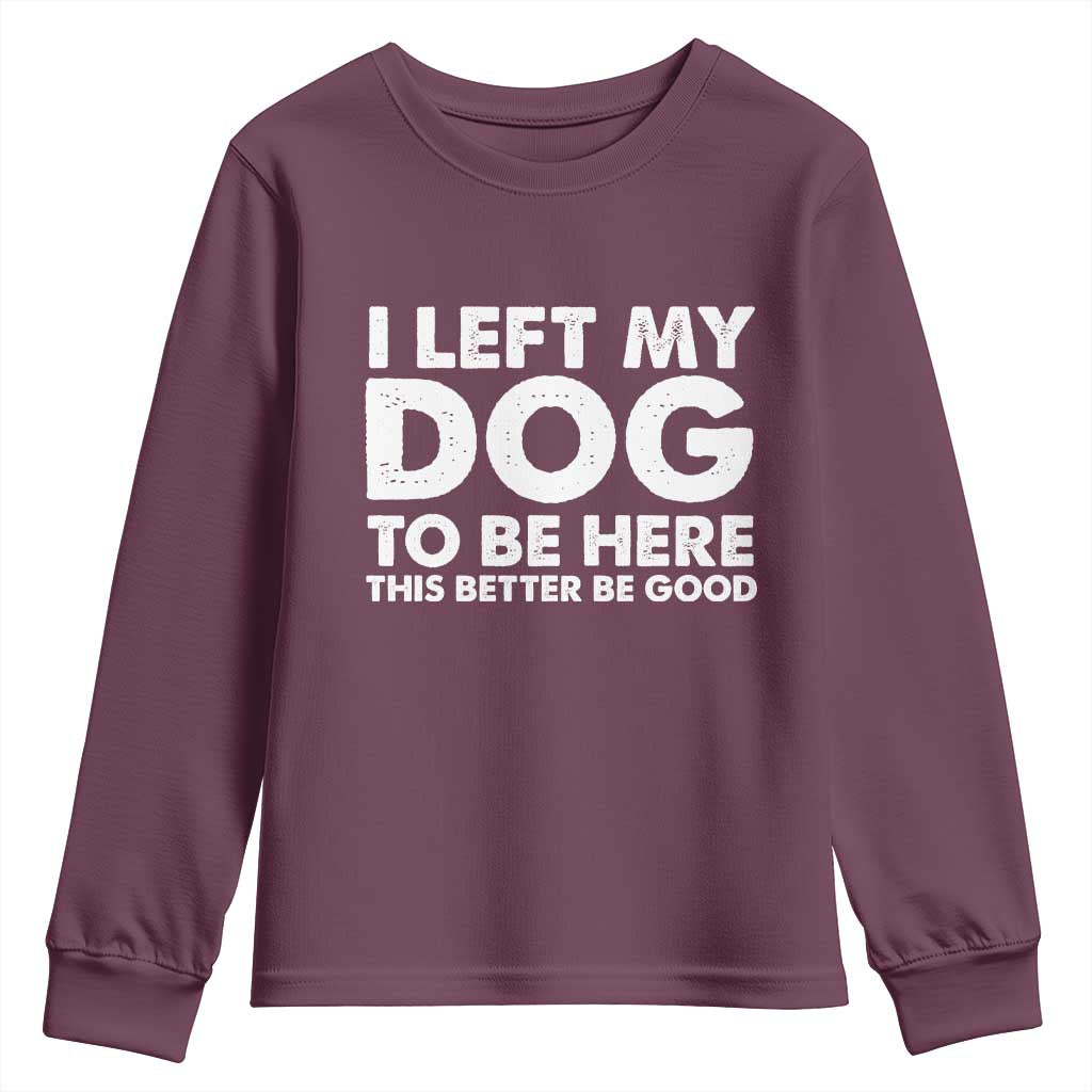 Funny Dog Lover Youth Sweatshirt I Left My Dog To Be Here This Better Be Good - Wonder Print Shop