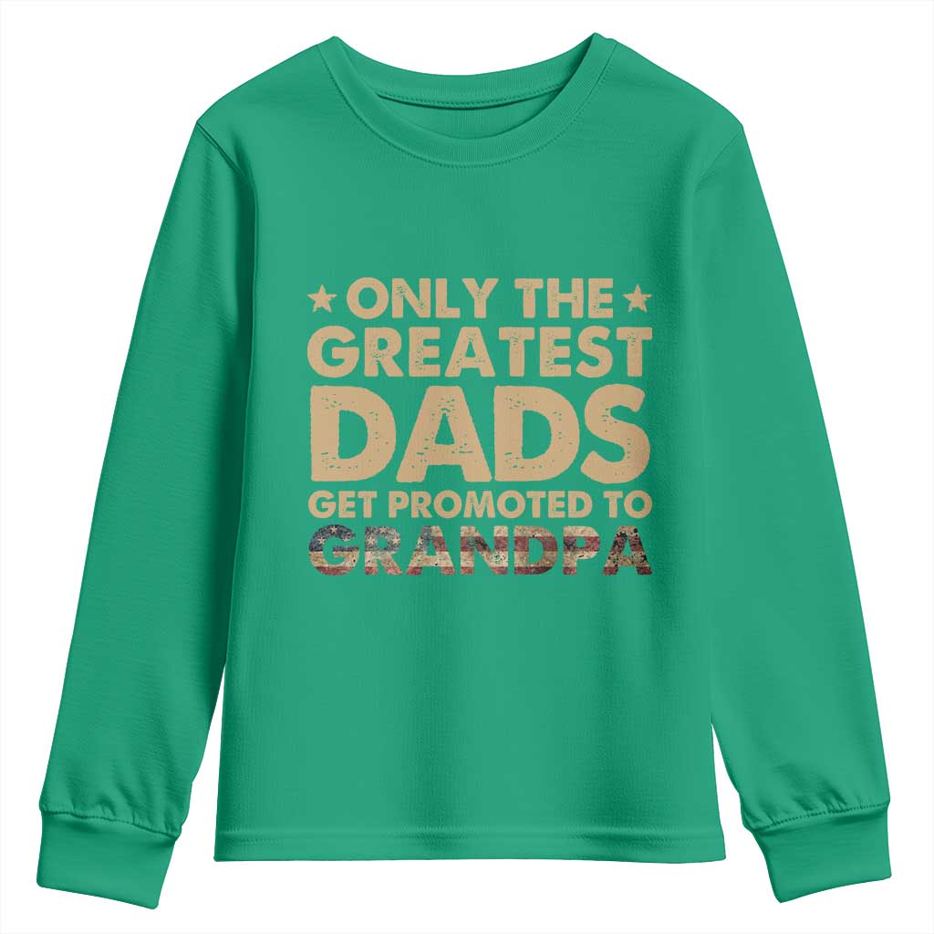 Greatest Dads Get Promoted To Grandpa Youth Sweatshirt Retro American Flag Fathers Day New Grandpa Gift