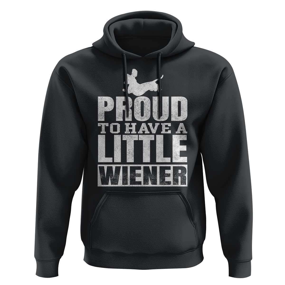 Funny Wiener Dog Lover Hoodie Dog Weenie Proud to Have A Little Wiener Dachshund - Wonder Print Shop