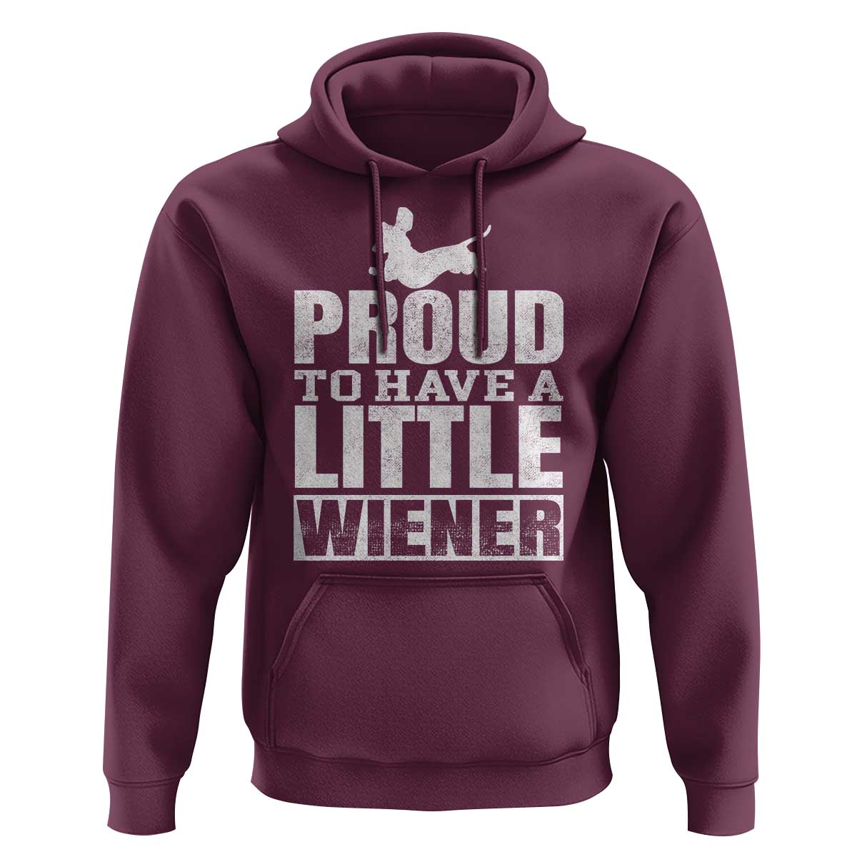 Funny Wiener Dog Lover Hoodie Dog Weenie Proud to Have A Little Wiener Dachshund - Wonder Print Shop