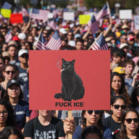 Fck Ice Smoking Cat Protest Sign Subtle FDT Black Cat Meme