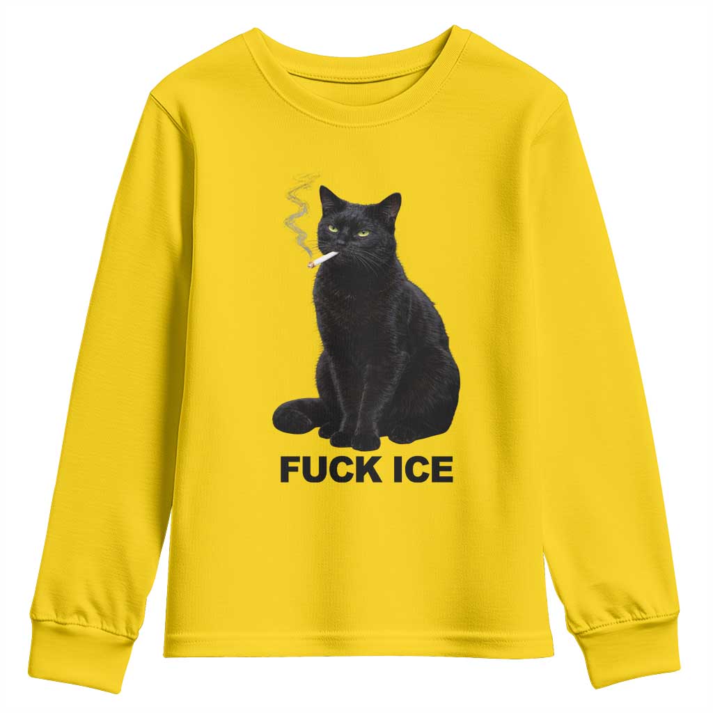 Fck Ice Smoking Cat Youth Sweatshirt Subtle FDT Black Cat Meme