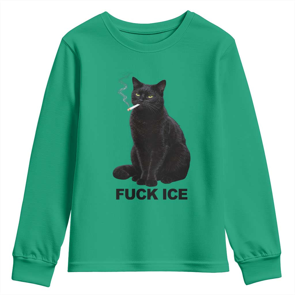 Fck Ice Smoking Cat Youth Sweatshirt Subtle FDT Black Cat Meme