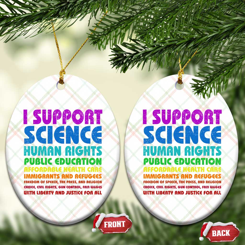 I Support Progressive Liberal Democratic Causes Protest Ceramic Ornament