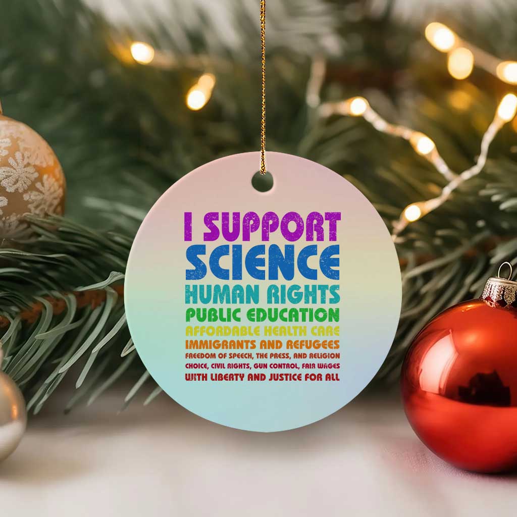 I Support Progressive Liberal Democratic Causes Protest Ceramic Ornament