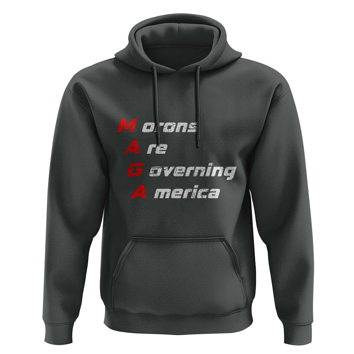 Morons Are Governing America Hoodie