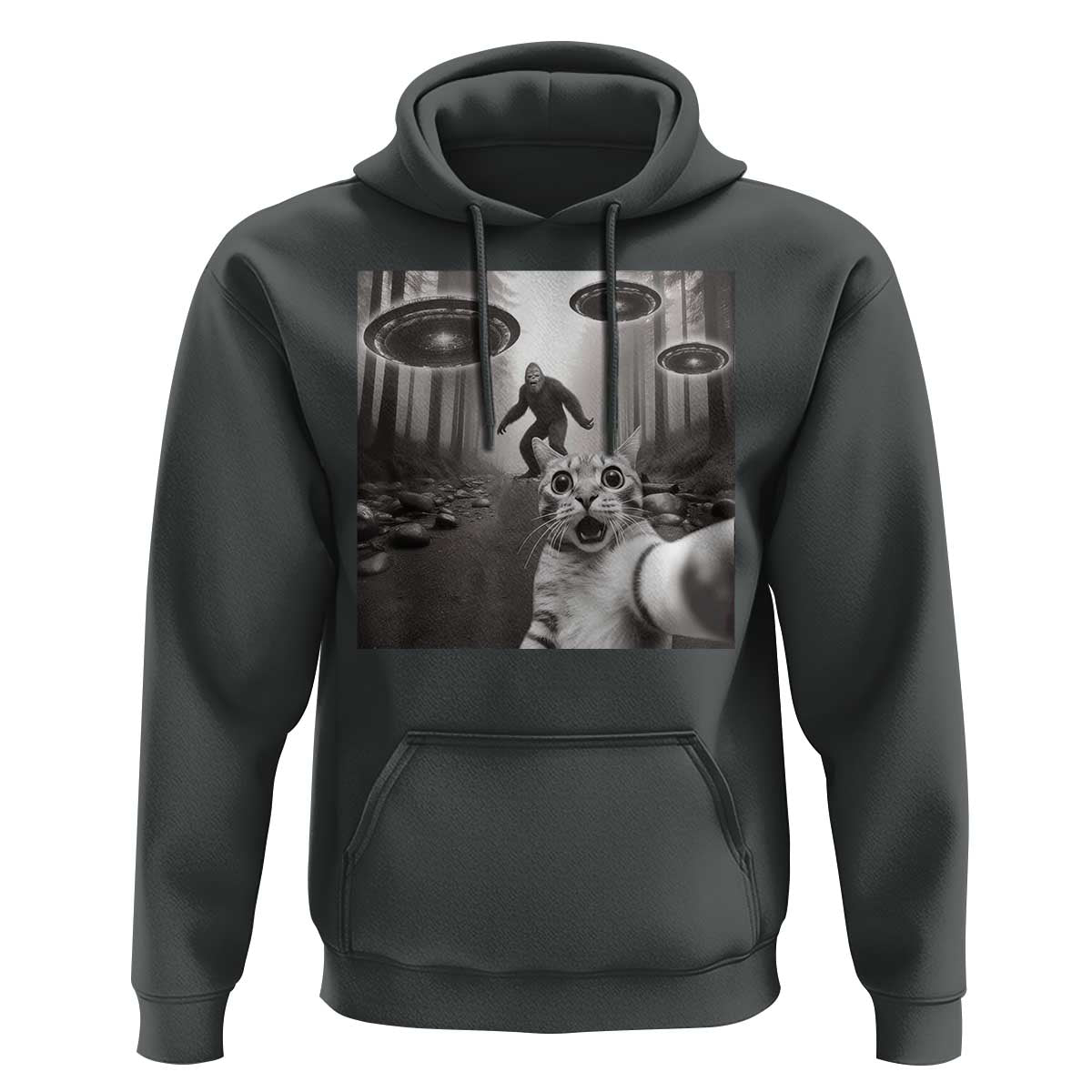 Cat Selfie With Bigfoot UFO Hoodie Funny Cat Lover Gifts - Wonder Print Shop