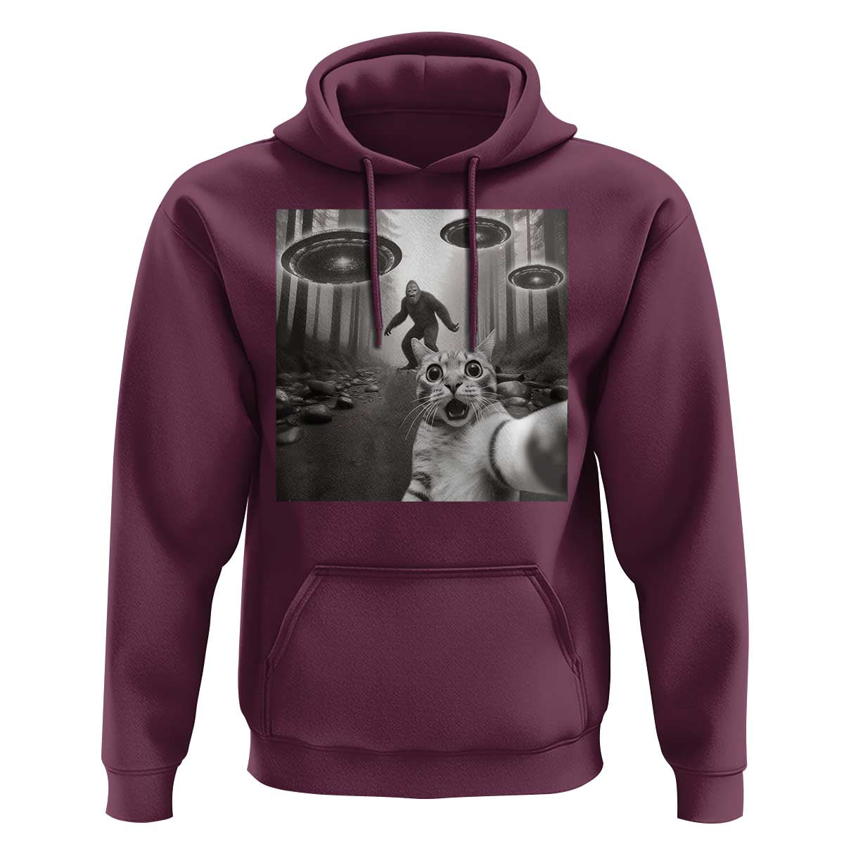 Cat Selfie With Bigfoot UFO Hoodie Funny Cat Lover Gifts - Wonder Print Shop
