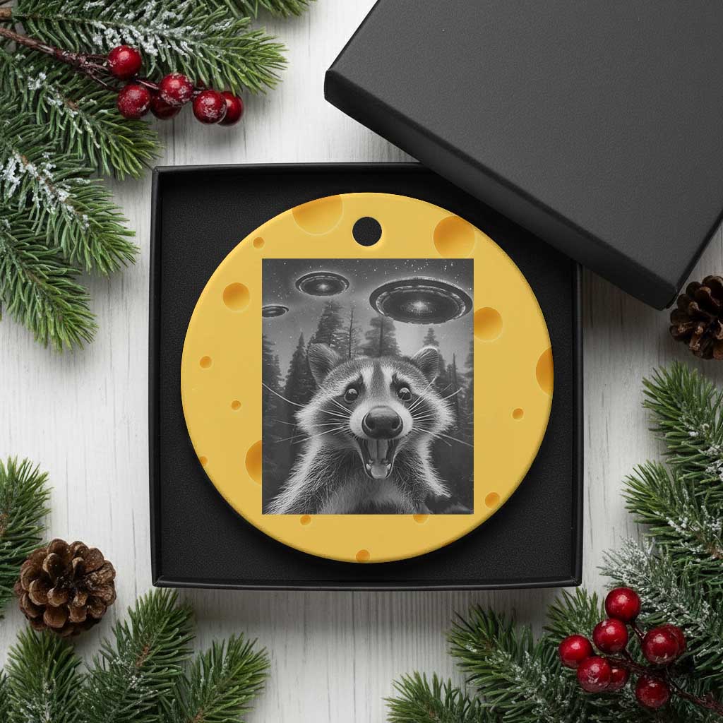 Racoon Meme Ceramic Ornament Selfie With Alien UFO - Wonder Print Shop