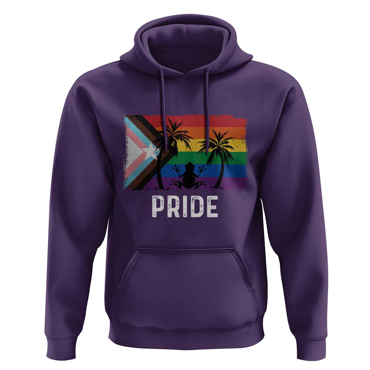 Puerto Rican LGBTQ Hoodie Boricua Rainbow Flag Pride