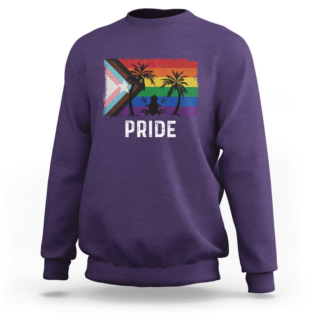 Puerto Rican LGBTQ Sweatshirt Boricua Rainbow Flag Pride