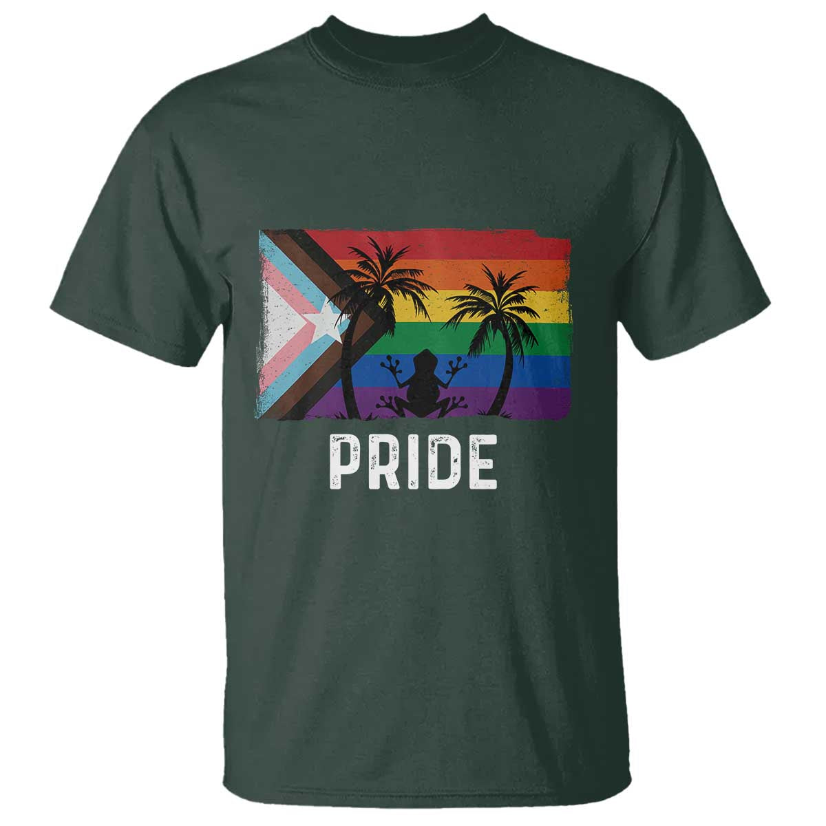 Puerto Rican LGBTQ T Shirt Boricua Rainbow Flag Pride