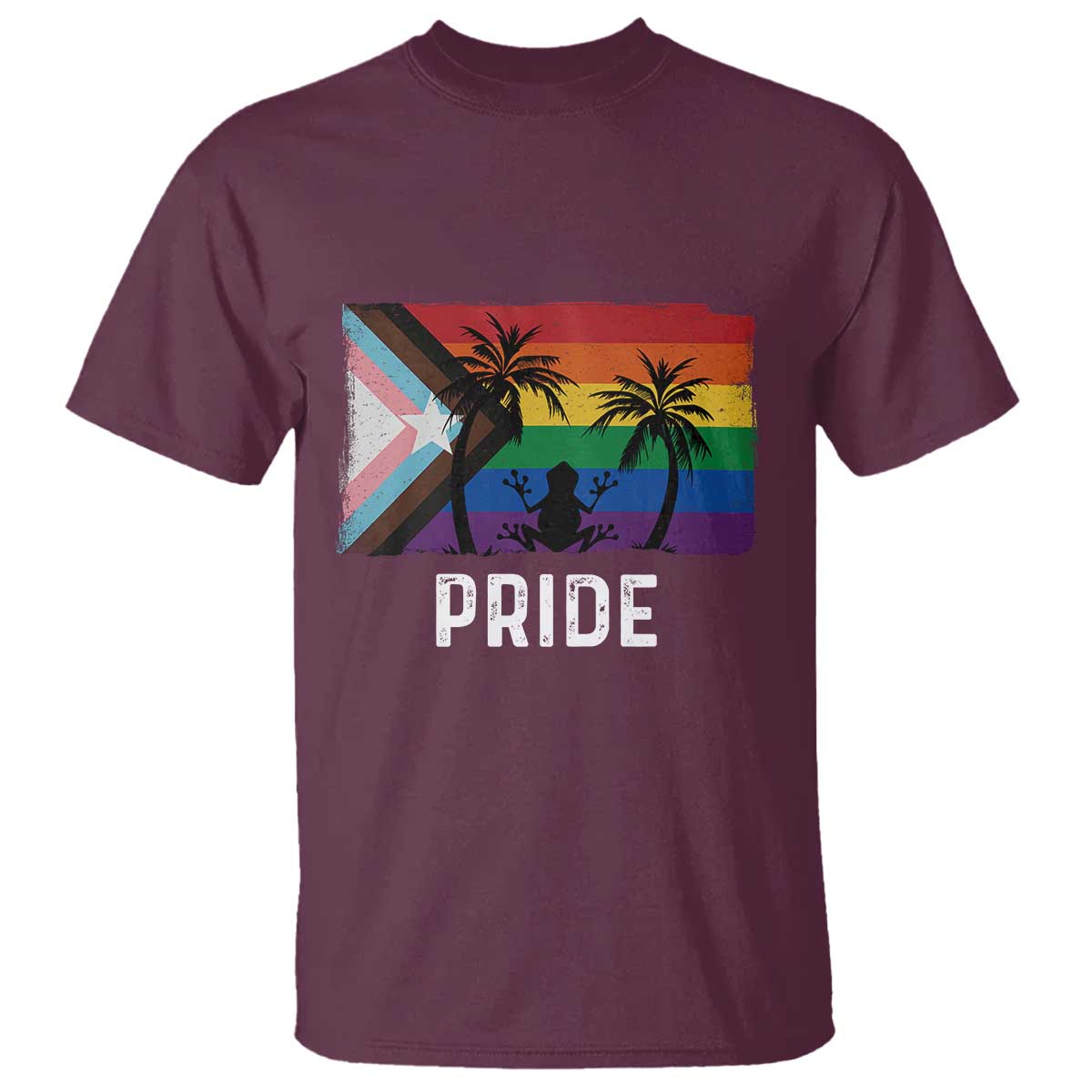 Puerto Rican LGBTQ T Shirt Boricua Rainbow Flag Pride