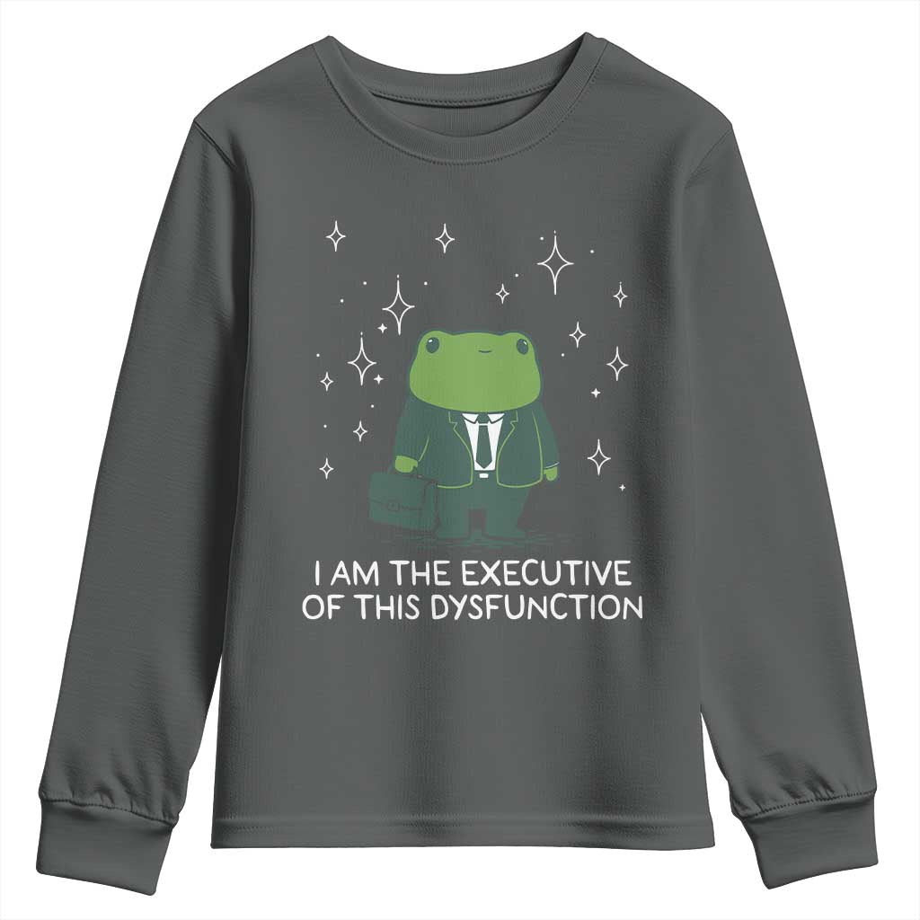 Funny Frog Youth Sweatshirt I Am The Executive Of This Dysfunction - Wonder Print Shop