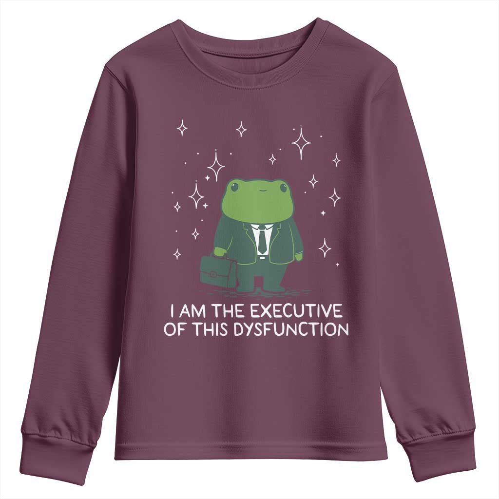 Funny Frog Youth Sweatshirt I Am The Executive Of This Dysfunction - Wonder Print Shop