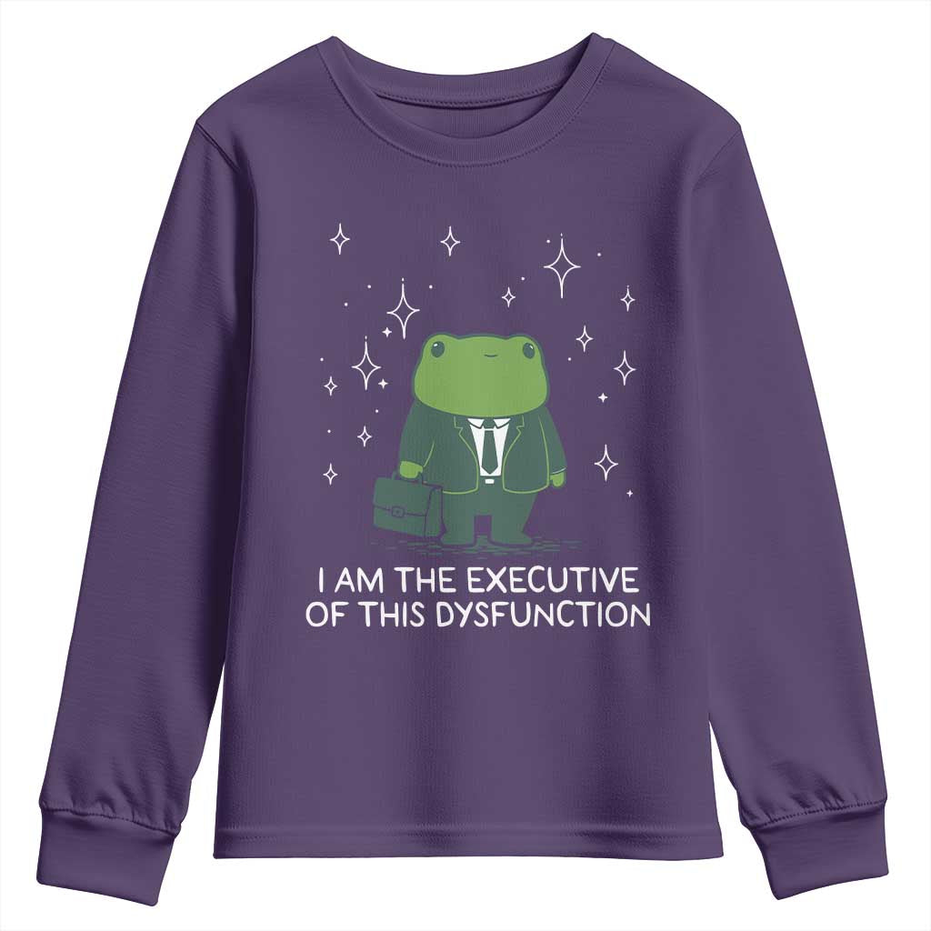 Funny Frog Youth Sweatshirt I Am The Executive Of This Dysfunction - Wonder Print Shop