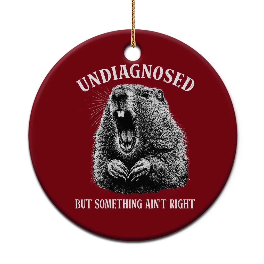 Funny Groundhog Meme Undiagnosed But Something Aint Right Ceramic Ornament - Wonder Print Shop