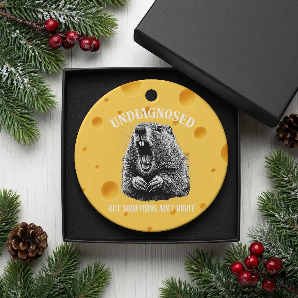 Funny Groundhog Meme Undiagnosed But Something Aint Right Ceramic Ornament - Wonder Print Shop