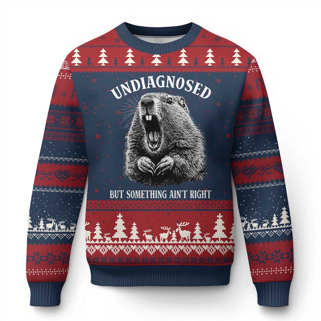 Funny Groundhog Meme Undiagnosed But Something Aint Right Ugly Christmas Sweater - Wonder Print Shop