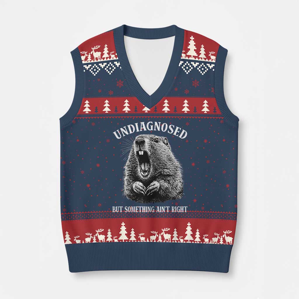 Funny Groundhog Meme Undiagnosed But Something Aint Right V-Neck Knit Sweater Vest - Wonder Print Shop