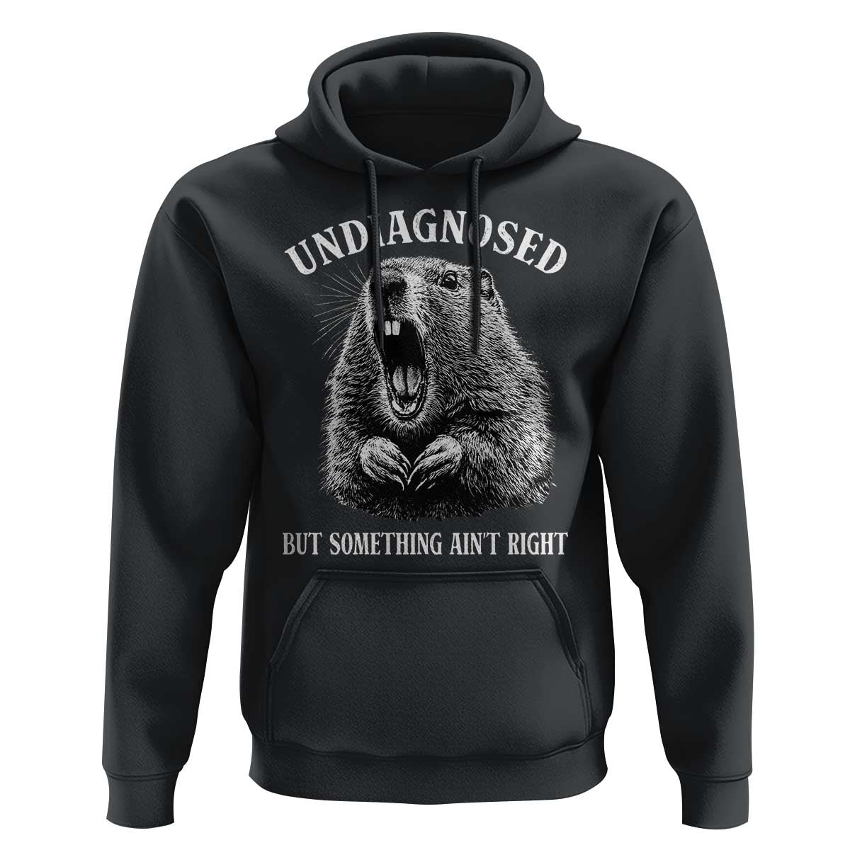 Funny Groundhog Meme Undiagnosed But Something Aint Right Hoodie - Wonder Print Shop