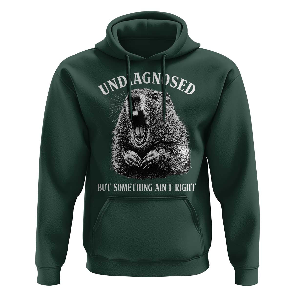 Funny Groundhog Meme Undiagnosed But Something Aint Right Hoodie - Wonder Print Shop