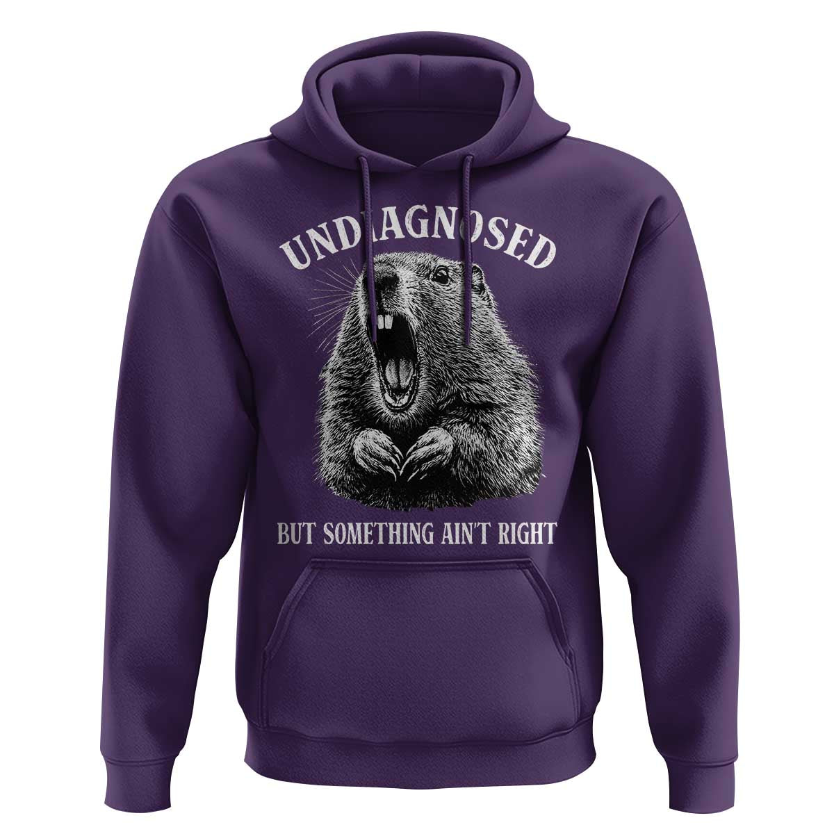 Funny Groundhog Meme Undiagnosed But Something Aint Right Hoodie - Wonder Print Shop