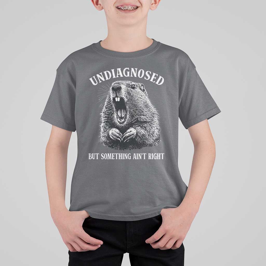 Funny Groundhog Meme Undiagnosed But Something Aint Right T Shirt For Kid - Wonder Print Shop
