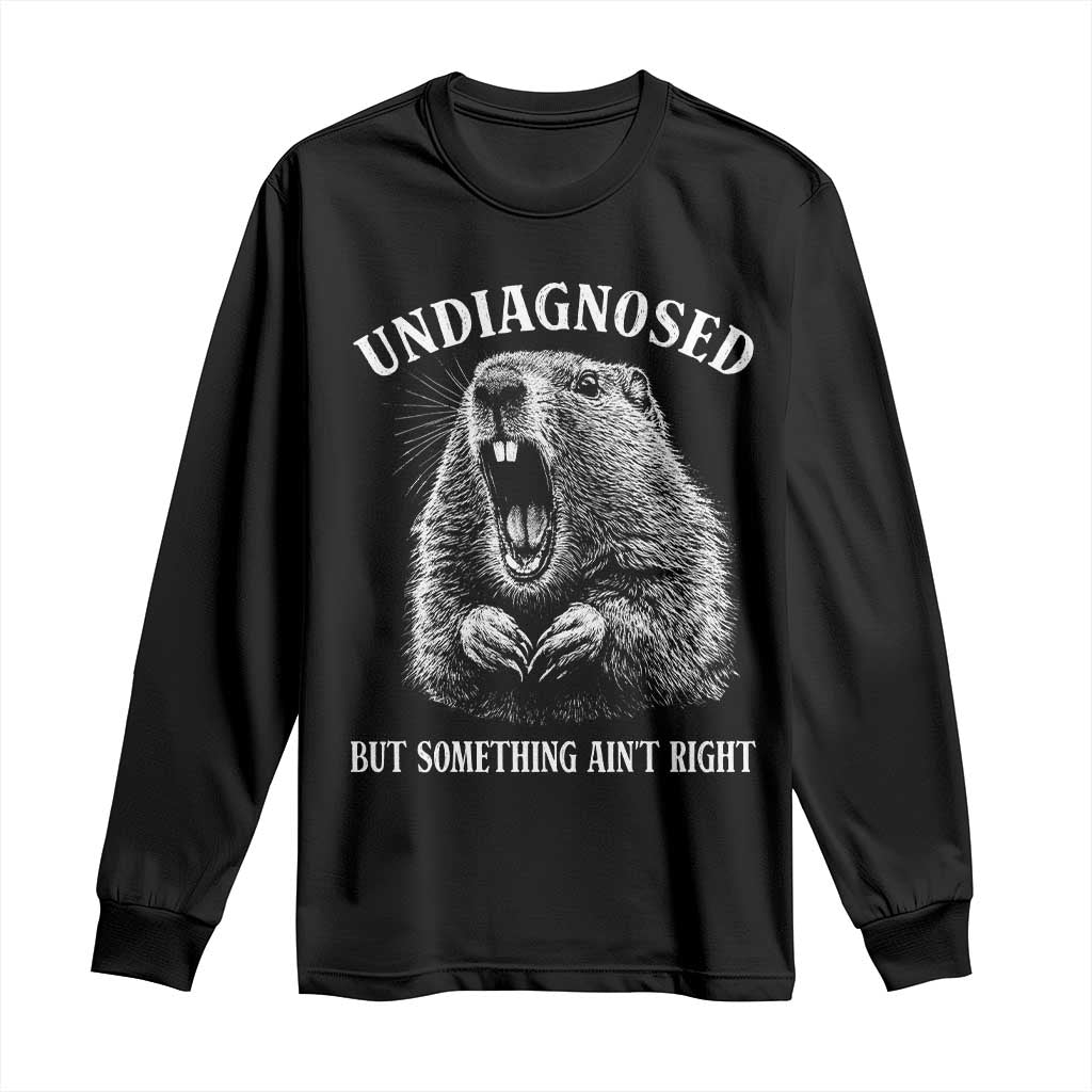 Funny Groundhog Meme Undiagnosed But Something Aint Right Long Sleeve Shirt - Wonder Print Shop