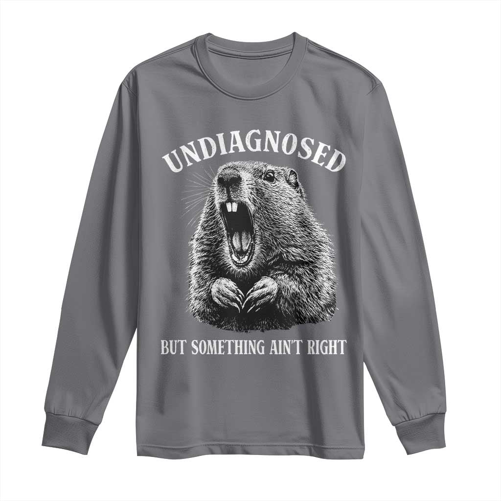 Funny Groundhog Meme Undiagnosed But Something Aint Right Long Sleeve Shirt - Wonder Print Shop