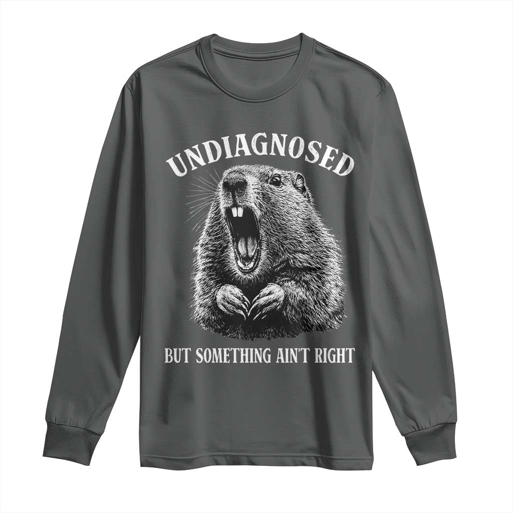 Funny Groundhog Meme Undiagnosed But Something Aint Right Long Sleeve Shirt - Wonder Print Shop