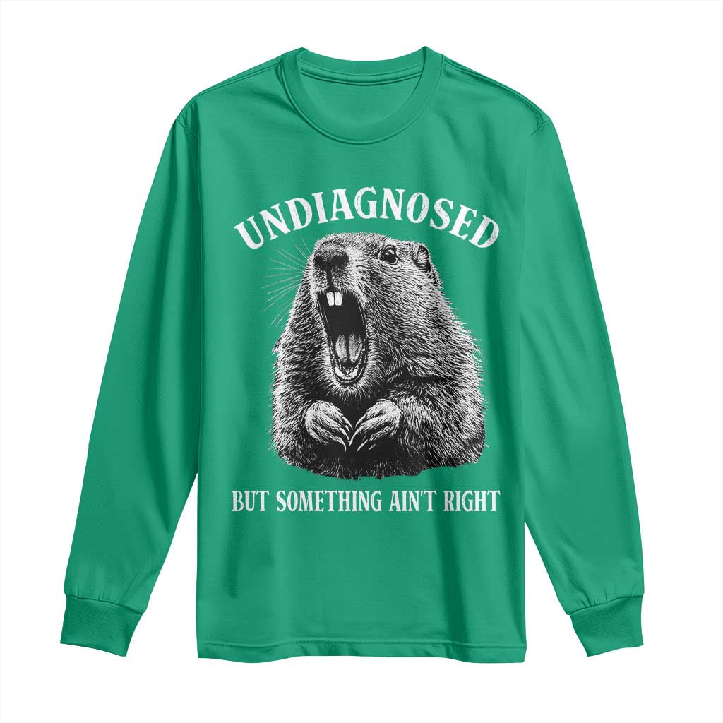 Funny Groundhog Meme Undiagnosed But Something Aint Right Long Sleeve Shirt - Wonder Print Shop