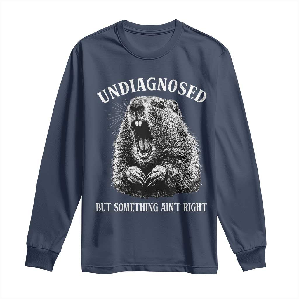 Funny Groundhog Meme Undiagnosed But Something Aint Right Long Sleeve Shirt - Wonder Print Shop