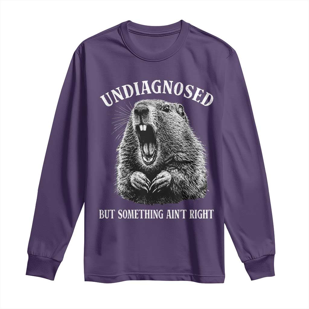 Funny Groundhog Meme Undiagnosed But Something Aint Right Long Sleeve Shirt - Wonder Print Shop