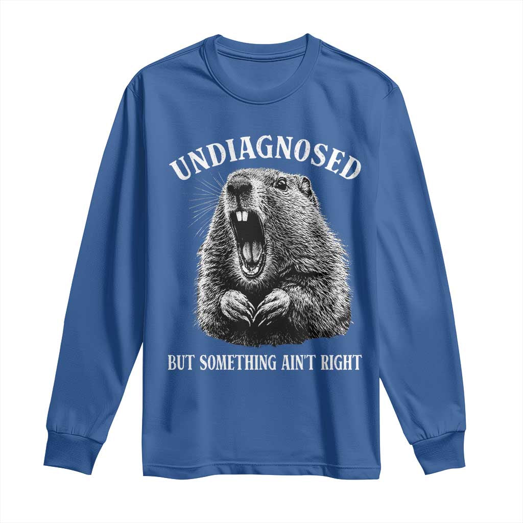 Funny Groundhog Meme Undiagnosed But Something Aint Right Long Sleeve Shirt - Wonder Print Shop