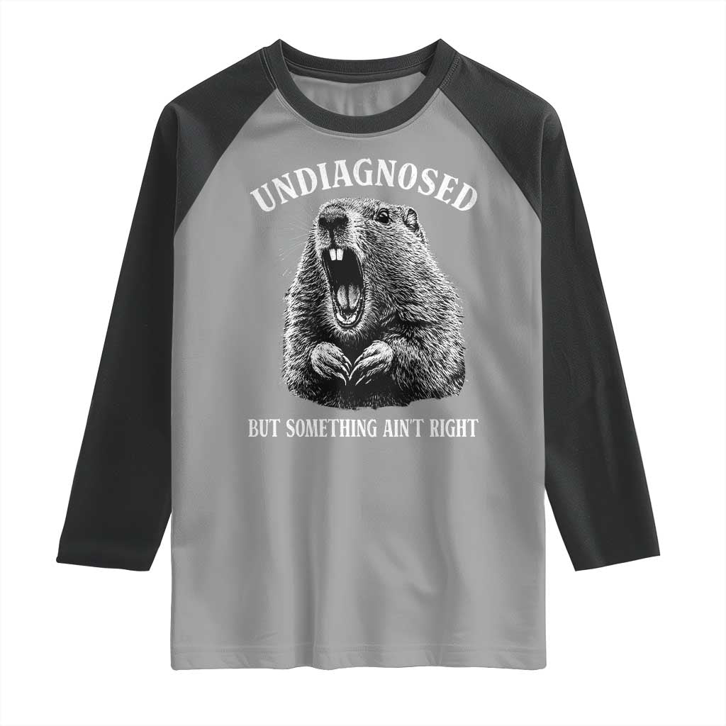 Funny Groundhog Meme Undiagnosed But Something Aint Right Raglan Shirt - Wonder Print Shop