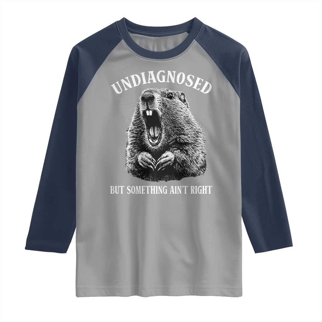 Funny Groundhog Meme Undiagnosed But Something Aint Right Raglan Shirt - Wonder Print Shop