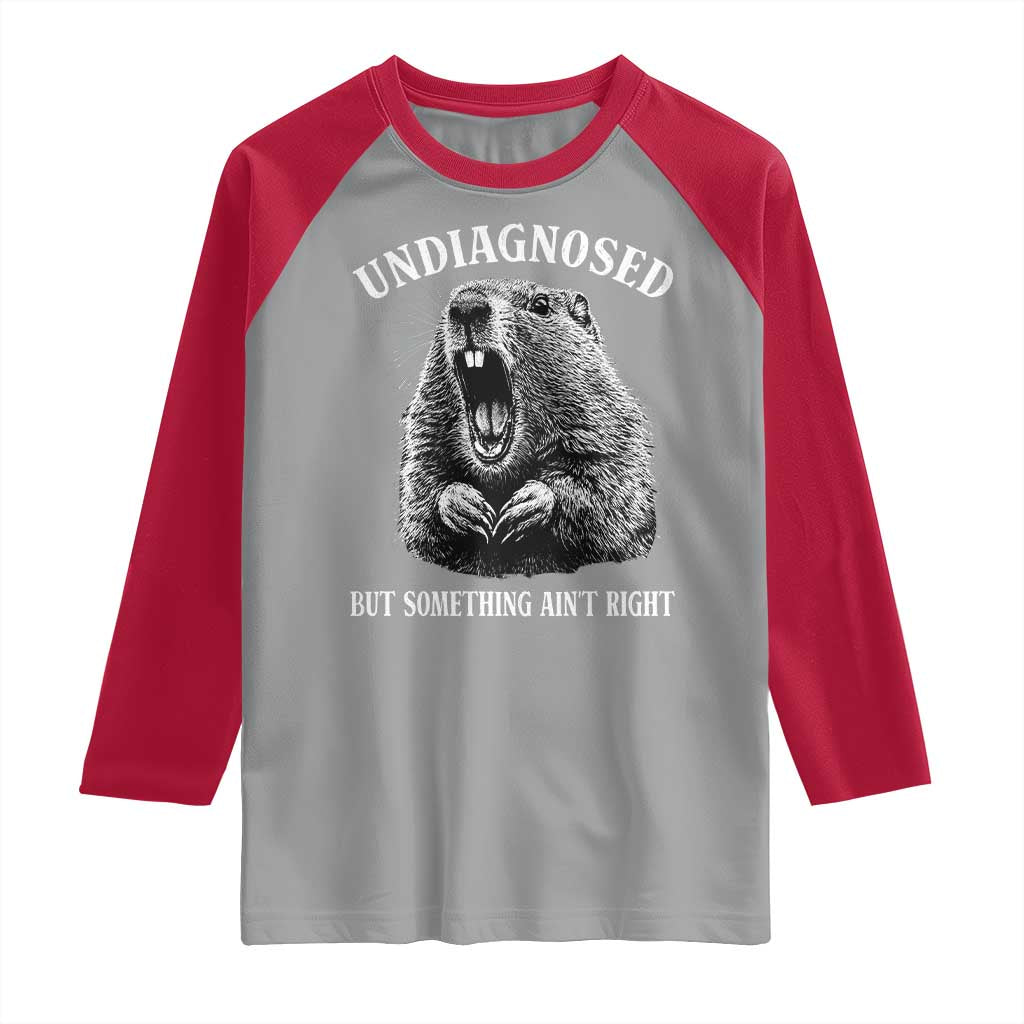 Funny Groundhog Meme Undiagnosed But Something Aint Right Raglan Shirt - Wonder Print Shop
