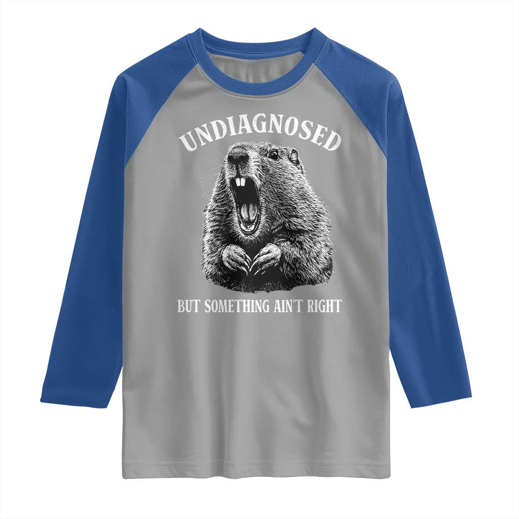 Funny Groundhog Meme Undiagnosed But Something Aint Right Raglan Shirt - Wonder Print Shop